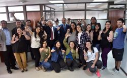 Profesores de Inglés a Nueva Zelandia