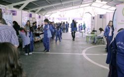 Muestra ICEC El Bosque